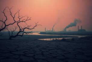 Aktivis Soroti Kerusakan Lingkungan Akibat Perubahan Iklim